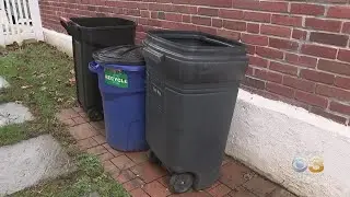 Rats Taking Over Ridley Township Neighborhood