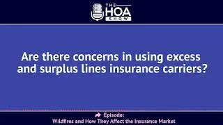 CLIP: Are there concerns in using excess and surplus lines insurance carriers?