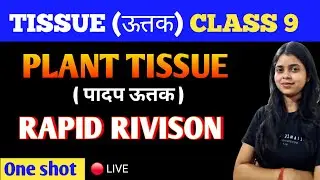 TISSUE CLASS 9 RAPID RIVISON ONE SHOT | PLANT TISSUE | part - 1