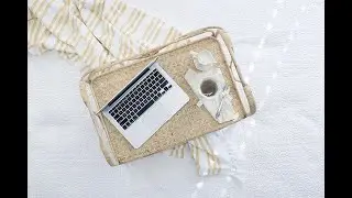 Plug In Profit Site Review
