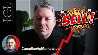 Grain Marketing: Sell using targets! - Canadian Agriculture Markets - 1-9-2026