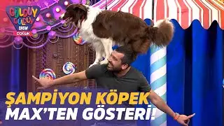 Şampiyon K&ouml;pek Max'ten G&ouml;steri! | G&uuml;ld&uuml;y G&uuml;ld&uuml;y Show &Ccedil;ocuk