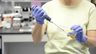 Aseptic Technique - Part 5 of 5 (Transferring liquid)