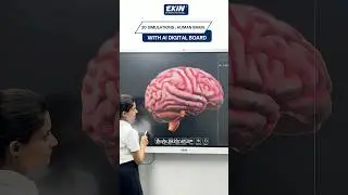 AI smart Board l Smart classroom setup #interactivedisplay #digitalboard #viral #trending #nep2020