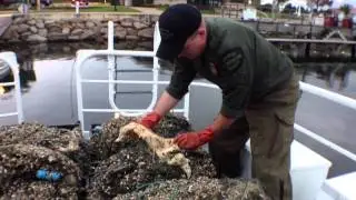 Abandoned gill net recovered off of Garden Peninsula on Lake Michigan