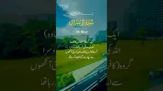 Surah Al Imran EXPLAINED in Simple Urdu #quranictranslation #urdutranslation  #quotes Quran in Hindi