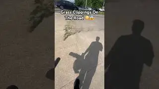 How To Blow Grass Onto The Road Properly&hellip;. #grass #mowing #blowing #clippings #echo #lawncare