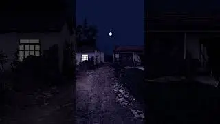 wonderful night #shorts #viral #trending #natural #shorts4k #videos