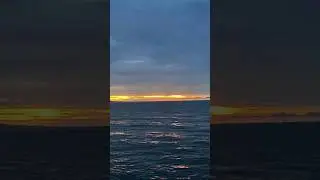 ga sengaja #memeviral #memeshorts #viralvideo