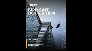 새를 지키고, 유리를 지키세요 | XPEL VISION Bird Strike Dotted Film
