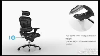 Amaze Chairs | Office Chairs | Ergohuman India | Buy Office Chairs Online