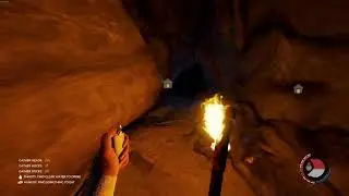 FOREST CAVE 5