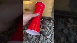 Beehive Dialect Heard Through Telephone Device || ViralHog