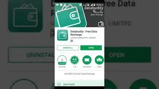 Databuddy earnings trick and proof