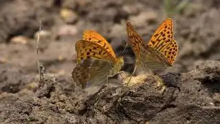 Centro de Magnesitas Navarras y la Conservaci&oacute;n