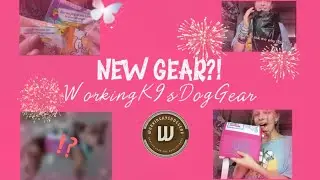WORKINGK9SDOGGEAR UNBOXING// NEW Mobility Harness!!!? @WorkingK9sDogGear 