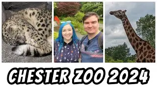 Chester Zoo 2024 | New Snow Leopard Enclosure | Northern Escapades