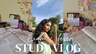 Exam + fever | Study vlog as a CBSE 11th grader | Malayalam | #studyvlogmalayalam #studyvlog 