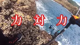 オキナワマンビカブチ曲がり！力　対　力！