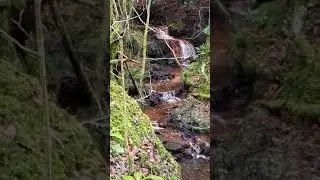 Waterfall discovery