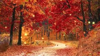 Autumn Forest Ambience Music by Adrian von Ziegler   Autumn Forest, Relaxing Celtic Music