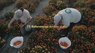 V&iacute;deo Corporativo Arzagot 