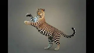 grok video d5bd2c6f c365 4248 9368 f2c9cf931b10 4