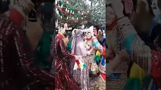 nomadic wedding dance in fars, iran.  #iranianculture #shorts.
