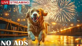 New Year Night Soundscape for Dogs | Firework Anxiety Relief