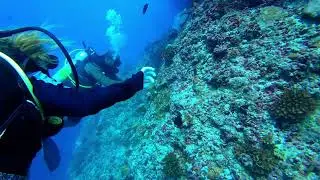 Swimming through the loop @ Waggiri - Maldives