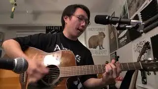 June Guitar - Alex G (cover)