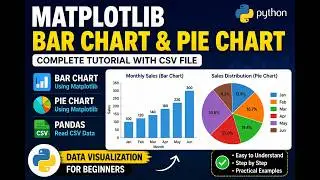 Python Matplotlib Bar Chart & Pie Chart | Complete Tutorial with CSV File