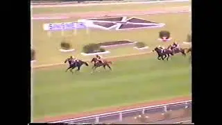 Rosehill Races 1 -7 Sat 29 Nov 1986