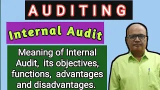 Auditing I Internal Audit I Meaning, Objectives, Advantages and Disadvantages of Internal Audit I