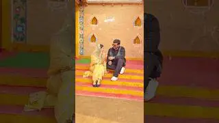 Pyar prr gussa havi n hone doo💗🌸🌏 #imrankhan #love #couple #husbandwife #heena