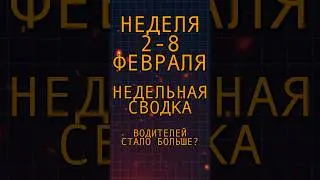 Недельный отчет по цифрам , траков становится больше ? #freightmarket #грузоперевозки