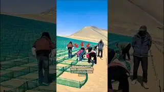 Reclaiming the Desert 😲 A 50 Year Mission to Protect the Oasis #shorts