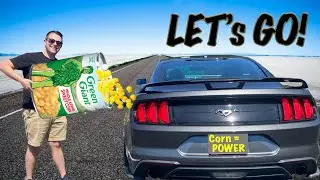 Раскрываем потенциал топлива E30 в моем Mustang Ecoboost!