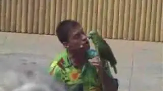 Port Aventura - Polinesia - Espectáculo de aves 2/3