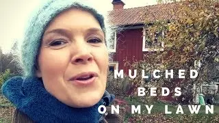 New mulched beds on my lawn