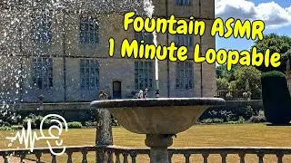 ⛲ Montacute House Fountain ASMR: 1-Minute Soothing Water Loop | Relaxing Garden Sounds 🇬🇧