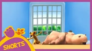 Pat and Stan |  Stuff in the Butt (short)