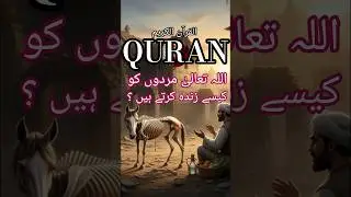 Allah&rsquo;s Power to Give Life After Death | Quranic Story (Urdu Translation) | #shorts #quran #urdu