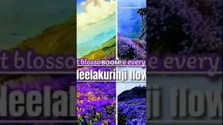Nelu Flowers Bloom Once in 12 Years || Farm Modernization || Horton Place Nelu #NatureLovers #facts🌷