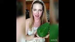 Harvesting papayas in St. Augustine Beach backyard food forest