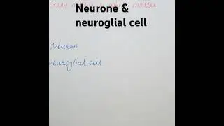 Neurone & neuroglial cell// Nervous system #dhavalmedicallecture