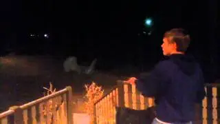 Auto 12-Gauge test gone wrong