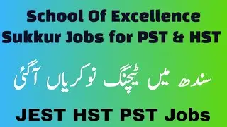 HST PST JEST jobs 2024 | School of Excellence Sukkur Jobs 2024