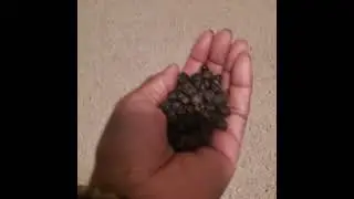 What is this juniper berry throw telling me?