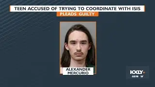 Idaho teen accused of trying to coordinate with ISIS pleads guilty